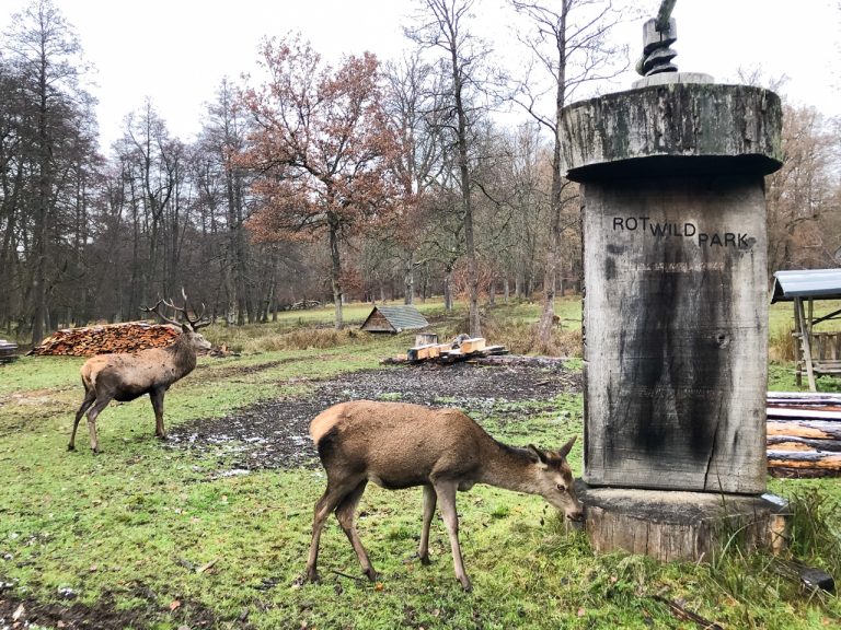 Stuttgarter Wildgehege