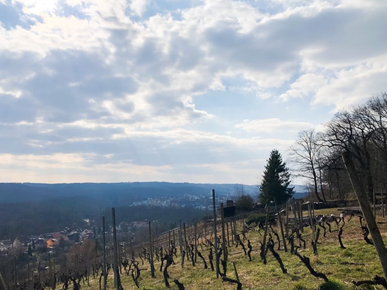 Schöner Aussichtspunkt in Stuttgart: Feuerbacher Höhenweg