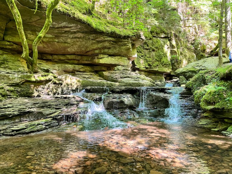 Wasserfall in der Monbachschlucht