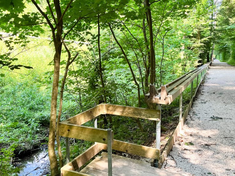 Familienwanderung Remsursprung
