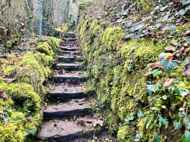 Wandelwege Stuttgart Wangen
