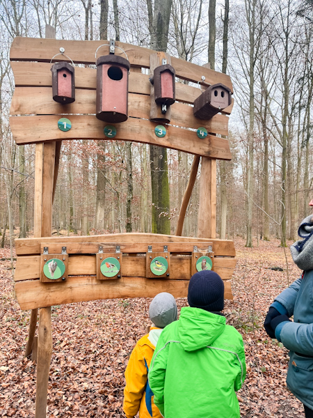 Walderlebnispfad und Kugelbahn Wendlingen