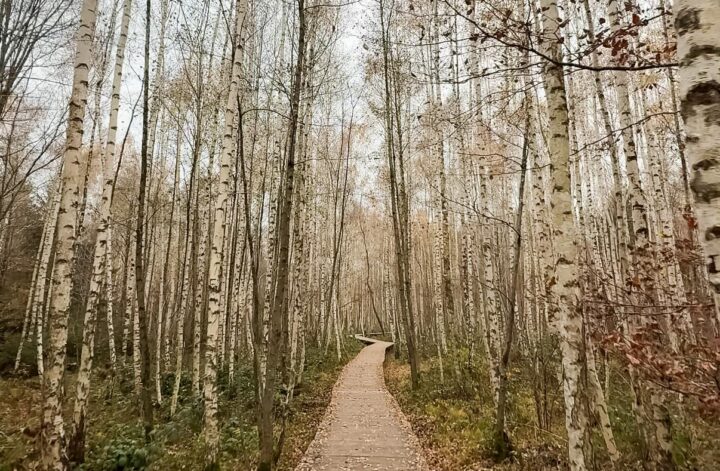 Schwebender Pfad Uhingen