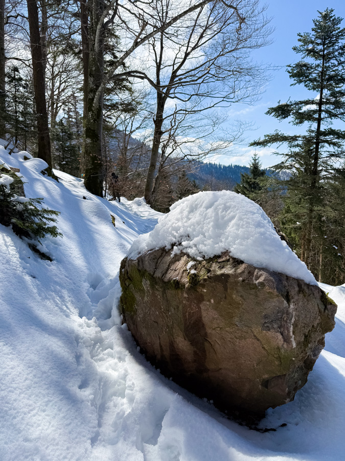 Familienwanderung auf dem Kandel