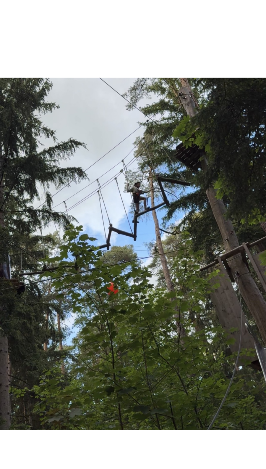 München mit Kindern - Münchner Wald