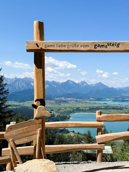 Gamssteig auf dem Buchenberg